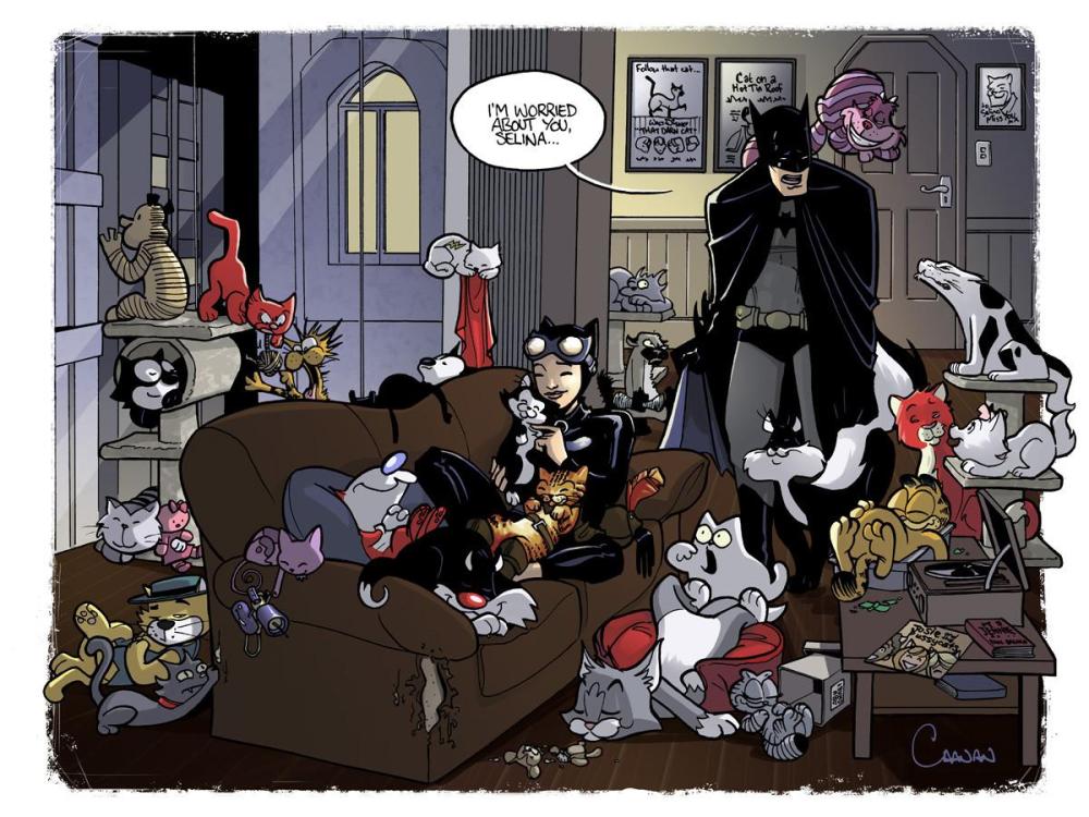 Batman-Is-Tired-Of-Catwoman-Collecting-All-The-Famous-TV-Movie-Cats-In-Their-Home